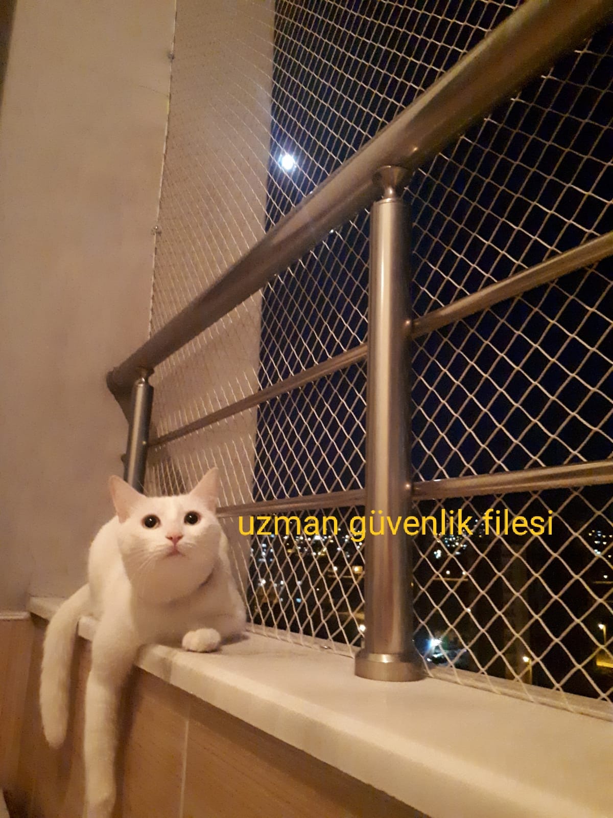 Iğdır Güvenlik Filesi